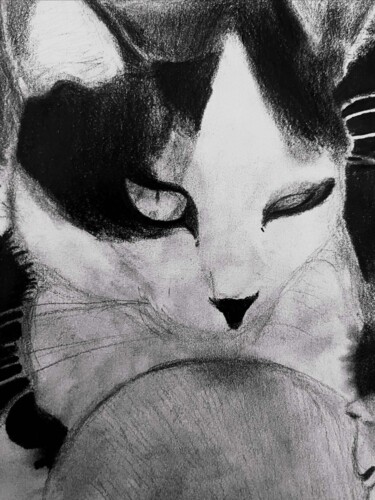 Картина под названием "Cat" - Merve Saraç, Подлинное произведение искусства, Древесный уголь