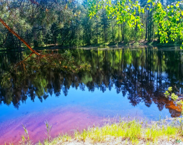 Fotografia intitolato "Forest Lake Hidden…" da Sergei Gundorov, Opera d'arte originale, Fotografia digitale