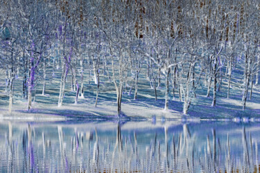 Fotografie getiteld "Une forêt féérique 2" door Hoang Cong Minh, Origineel Kunstwerk, Digitale fotografie