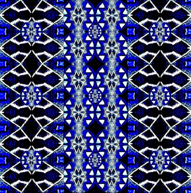 Bat Kites 100c2e Fotografie getiteld "Bat Kites 100c2e" door Ken Lerner, Origineel Kunstwerk, Digitale fotografie