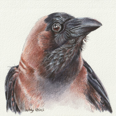 Tekening getiteld "Rabenvogel #35" door Lilla Varhelyi, Origineel Kunstwerk, Inkt