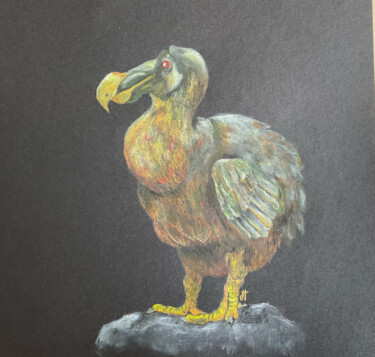 「DODO」というタイトルの描画 Lautiardによって, オリジナルのアートワーク, 鉛筆