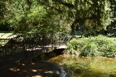 Фотография под названием "Pont de tranquillité" - Elizabeth Rosenfeld, Подлинное произведение искусства, Цифровая фотография