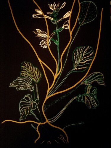 Desenho intitulada "Hemerocallis" por Sophie Ong, Obras de arte originais, Canetac de aerossol