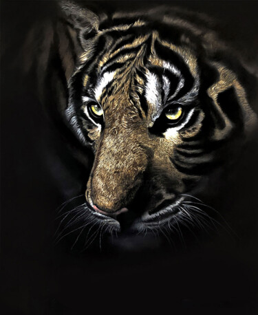 Tekening getiteld "Invincible" door Olga Kaydash, Origineel Kunstwerk, Pastel