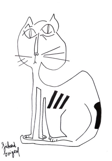 Rysunek zatytułowany „LE CHAT ADIDAS” autorstwa Richard Boigeol, Oryginalna praca, Atrament