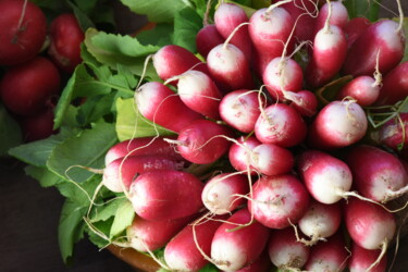 Fotografía titulada "Organic radishes" por Hoang Cong Minh, Obra de arte original, Fotografía no manipulada