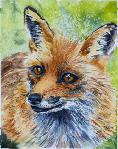 Red Fox in Watercolor Schilderij getiteld "Red Fox in Watercol…" door Paula Bridges, Origineel Kunstwerk, Aquarel Gemonteerd op Andere stijve pane…