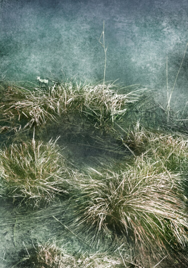 摄影 标题为“au bord du lac” 由Claudia Albisser Hund, 原创艺术品, 数码摄影 安装在纸板上