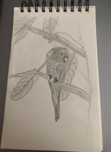 Zeichnungen mit dem Titel "L’oiseau regardant…" von Itoki, Original-Kunstwerk, Bleistift
