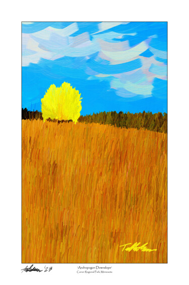 "Andropogon Downslope" (vert) (click reproductions for opt.) Pittura intitolato ""Andropogon Downslo…" da Tad Anderson, Opera d'arte originale, Stampa digitale