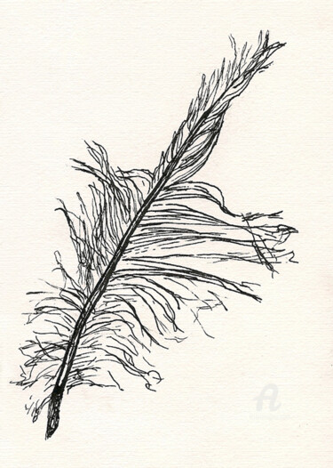 Feder - Feather Tekening getiteld "Feder - Feather" door Andreja Soleil, Origineel Kunstwerk, Inkt