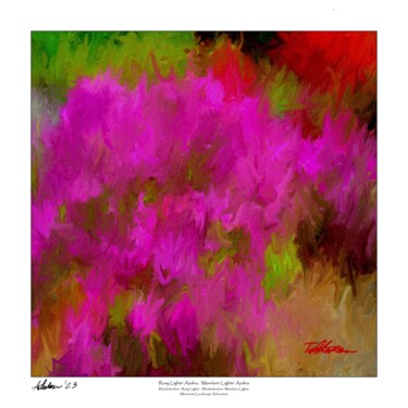 ‘Rosy Lights’ Azalea, ‘Mandarin Lights' Azalea. (sq) Peinture intitulée "‘Rosy Lights’ Azale…" par Tad Anderson, Œuvre d'art originale, Impression numérique