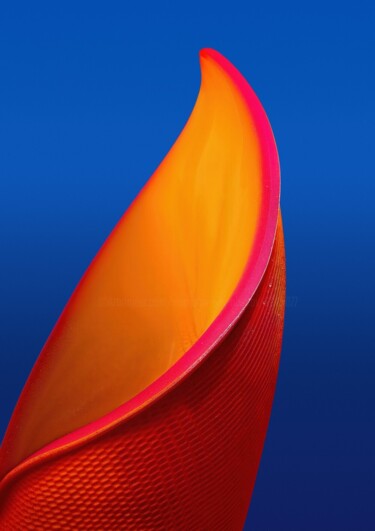 Fotografia intitolato "Minimalistic flower…" da Vladyslav Shyrobokov, Opera d'arte originale, Fotografia digitale