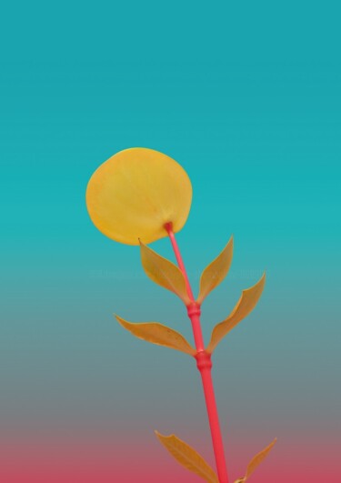 "Minimalistic flower…" başlıklı Fotoğraf Vladyslav Shyrobokov tarafından, Orijinal sanat, Dijital Fotoğrafçılık