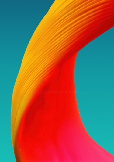 "Minimalistic flower…" başlıklı Fotoğraf Vladyslav Shyrobokov tarafından, Orijinal sanat, Dijital Fotoğrafçılık