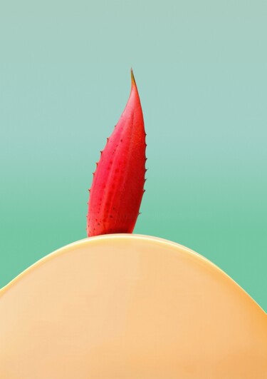 摄影 标题为“Minimalistic flower…” 由Vladyslav Shyrobokov, 原创艺术品, 数码摄影