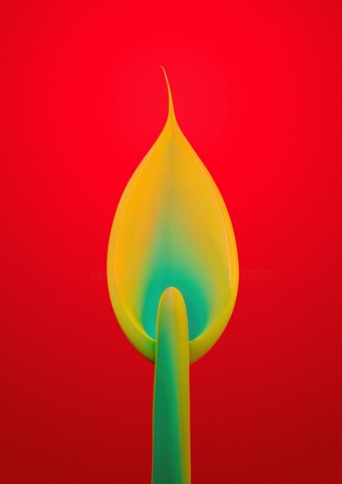 "Minimalistic flower…" başlıklı Fotoğraf Vladyslav Shyrobokov tarafından, Orijinal sanat, Dijital Fotoğrafçılık