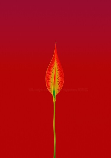 摄影 标题为“Minimalistic flower…” 由Vladyslav Shyrobokov, 原创艺术品, 数码摄影