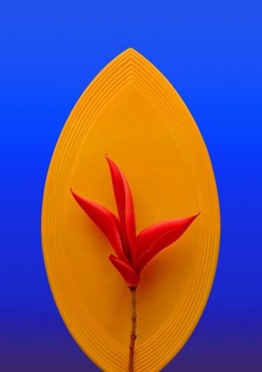 "Minimalistic flower…" başlıklı Fotoğraf Vladyslav Shyrobokov tarafından, Orijinal sanat, Dijital Fotoğrafçılık