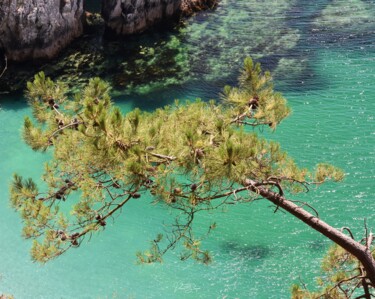 "Summer 2025 Crozon" başlıklı Fotoğraf Zeroual Vincent tarafından, Orijinal sanat, Fotoşopsuz fotoğraf