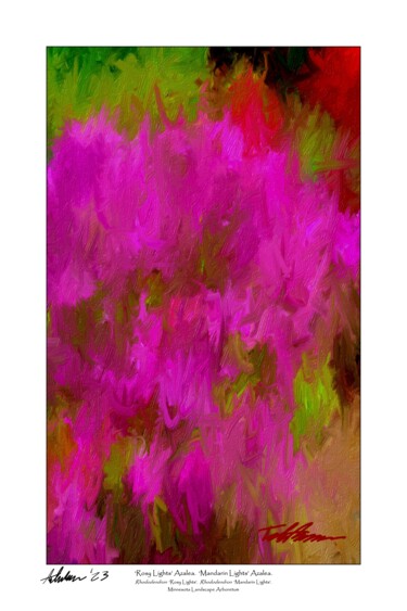 Painting titled "‘Rosy Lights’ Azale…" by Tad Anderson, Original Artwork, Digital Print