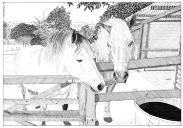 Dessin intitulée "Traits de chevaux" par Pascal Tavarner, Œuvre d'art originale, Encre
