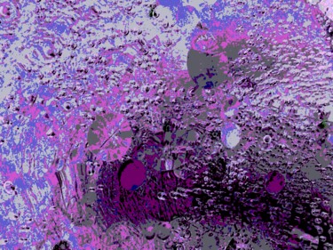 摄影 标题为“UNSEEN BEAUTY” 由John Stanley, 原创艺术品, 数码摄影