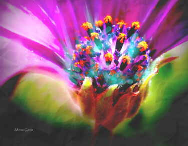 "Flor de Invierno 2" başlıklı Fotoğraf Alfonso García tarafından, Orijinal sanat, Dijital Fotoğrafçılık