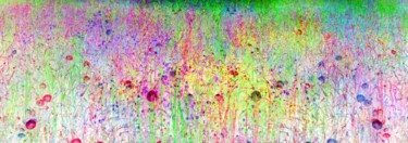 摄影 标题为“Floral Melody” 由Peter Watson, 原创艺术品, 数码摄影