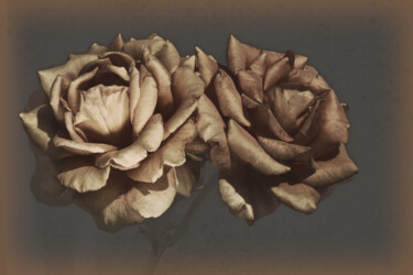摄影 标题为“Flower design_13894” 由Michael Vdovin, 原创艺术品, 数码摄影