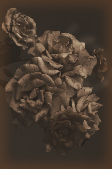 摄影 标题为“Flower design_15092” 由Michael Vdovin, 原创艺术品, 数码摄影