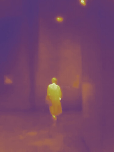 Fotografia intitolato "Spectral Attendance…" da Giulio Di Sturco, Opera d'arte originale, Fotografia digitale