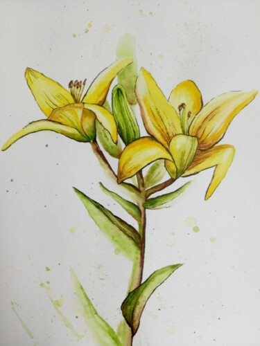 Disegno intitolato "Lily" da Anna Belmont, Opera d'arte originale, Acquarello