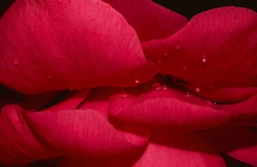 「SENSUALITE Mouvemen…」というタイトルの写真撮影 Guy Rezaによって, オリジナルのアートワーク, デジタル