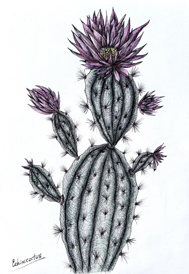 图画 标题为“CACTUS WITH PINK FL…” 由Maria Tuzhilkina, 原创艺术品, 标记