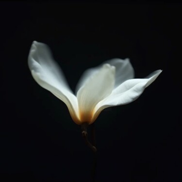 Fotografia intitulada "Close-Up" por Vanda Lehel (V A N D E E), Obras de arte originais, Imagem gerada por IA