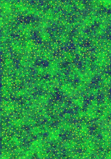 数字艺术 标题为“Parterre de verts” 由Pascal Rissac, 原创艺术品, 数字油画