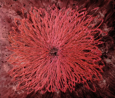 Sculpture intitulée "12086 (Space Flower…" par Volker W. Hamann, Œuvre d'art originale, Pigments Monté sur Aluminium