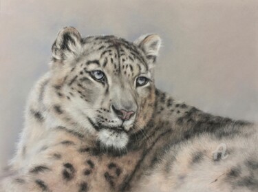 Рисунок под названием "Snow leopard" - Irene_art, Подлинное произведение искусства, Пастель