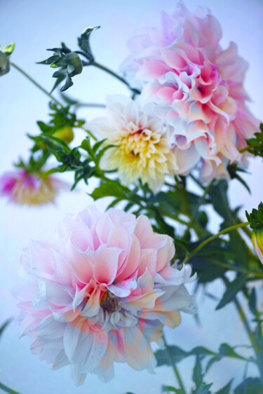 摄影 标题为“Flower design_11942” 由Michael Vdovin, 原创艺术品, 数码摄影