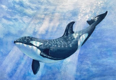绘画 标题为“** Killer Whale**” 由Vanessa Tsang, 原创艺术品, 水彩