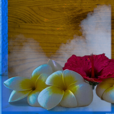 Frangipane e Ibisco su legno e luce azzurra "Frangipane e Ibisco…" başlıklı Fotoğraf Gabriele Via tarafından, Orijinal sanat, Dijital Fotoğrafçılık