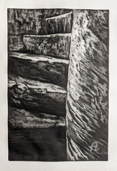 印花与版画 标题为“L'escalier dérobé” 由Marie-Paule Demarquez, 原创艺术品, 雕刻 安装在纸板上