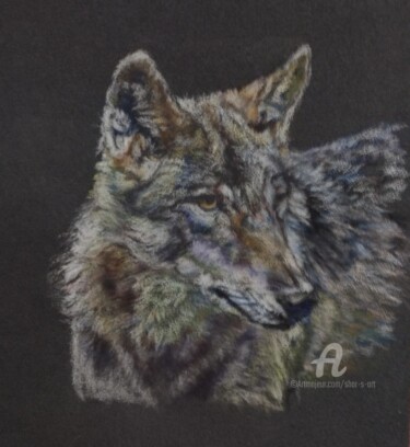 图画 标题为“Gray Wolf” 由Shar'S Art, 原创艺术品, 铅笔