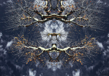 Photography titled "A Dos d'Oiseau" by Véronique Gerard, Original Artwork, Acrylic Mounted on Wood Stretcher frame