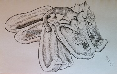 Drawing titled "Le poivron" by Maryse Curinier-Rochette, Original Artwork, Ink