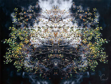 Photography titled "Dentelles" by Véronique Gerard, Original Artwork, Acrylic Mounted on Wood Stretcher frame