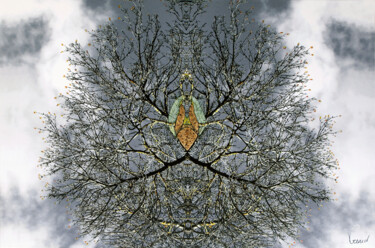 Photography titled "La Méditation de l'…" by Véronique Gerard, Original Artwork, Acrylic Mounted on Wood Stretcher frame