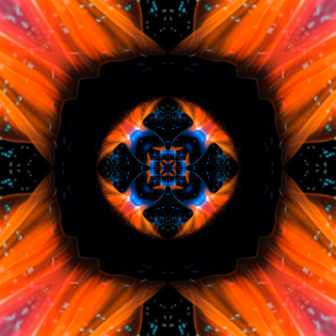 数字艺术 标题为“Digital Flower #4” 由Maria Rzeszotarska, 原创艺术品, 2D数字工作